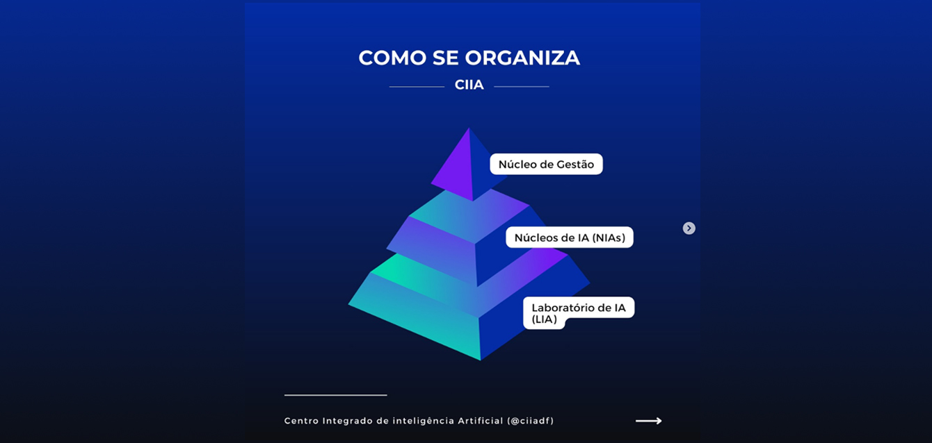 ESTRUTURA DO CIIA